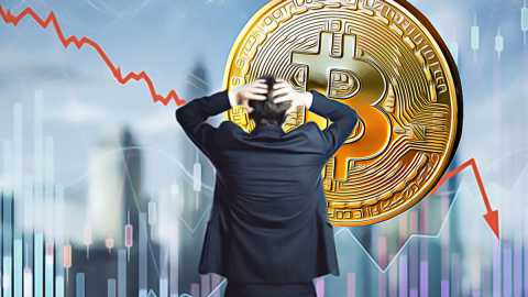 安币怎么注册id?安币注册步骤图文讲解