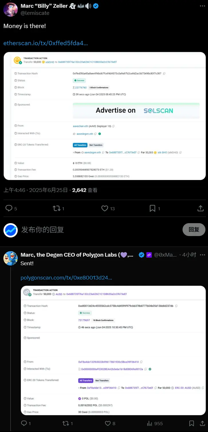 Polygon CEO与AAVE守护者的赌局：Polygon 双币设计是福是祸？ image 0