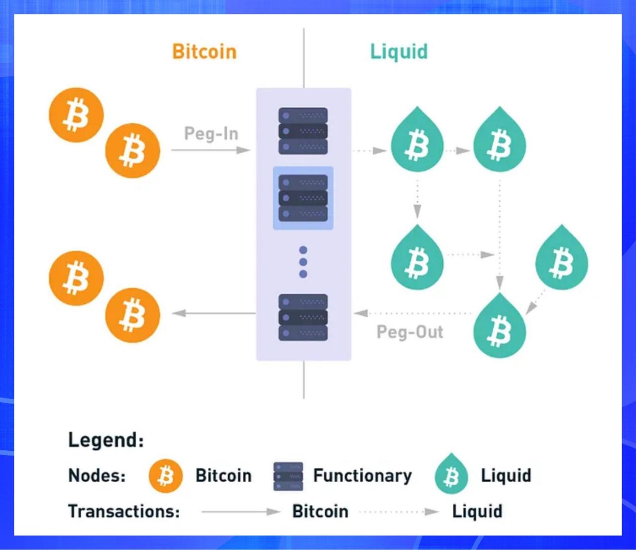 BitsLab 2024新兴公链安全全景洞察：从MOVE生态到比特币扩容赛道 image 3