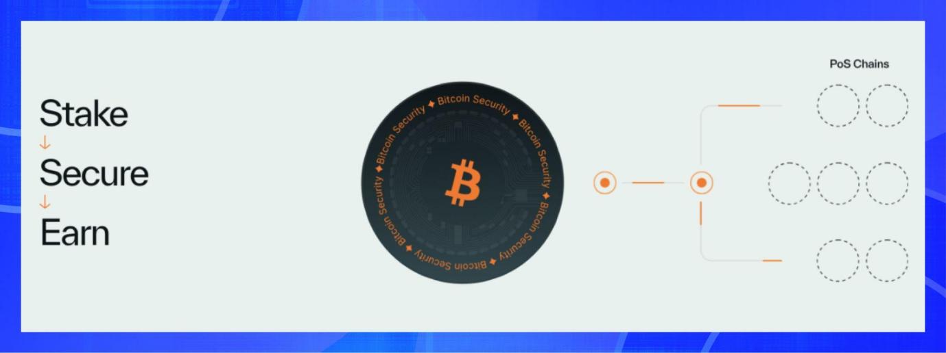 BitsLab 2024新兴公链安全全景洞察：从MOVE生态到比特币扩容赛道 image 5