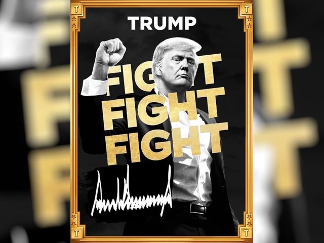 TRUMP兴，Solana王，总统发币背后：谁是赢家，谁在受益？对加密市场有何影响？ image 1