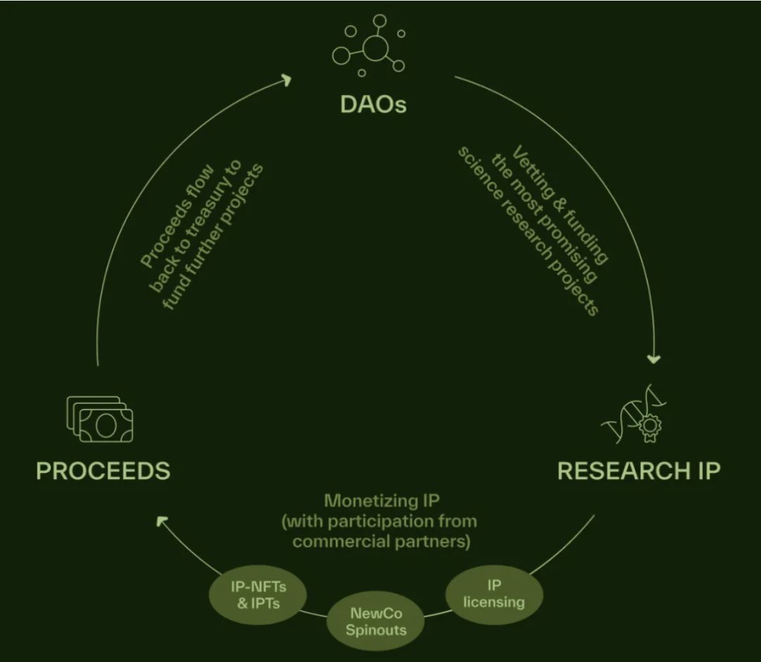 Foresight Ventures：关于 DeSci 和 BIO image 2