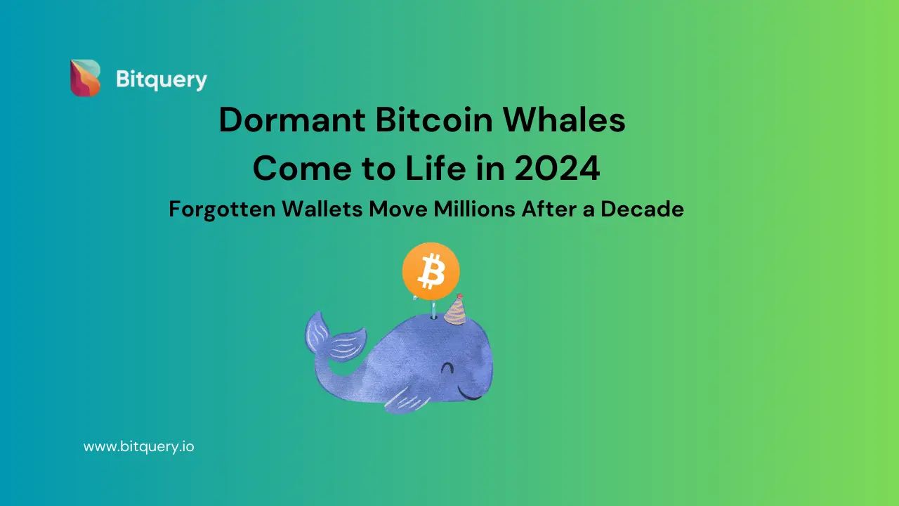 考古2024“重现江湖”的十大比特币巨鲸：最高转移超1000枚BTC，最低成本不足1美元 image 0