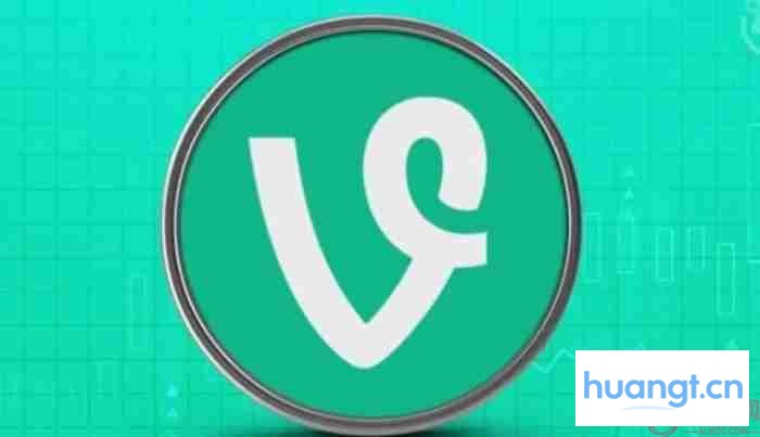 Vine