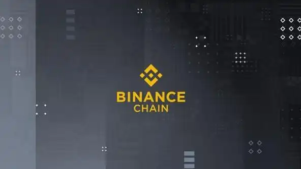 币安充提暂停不用慌：钱包维护期间应对指南，常见问题解答
