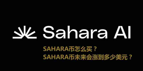 SAHARA 币购买与未来展望： 深入分析，理性投资！
