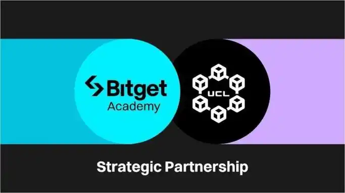 Bitget市价单和限价单详解：新手交易指南