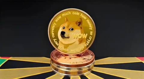 狗狗币在哪里买卖交易-可以交易狗狗币的平台